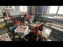 ODM 청동 가스 파이프 종료 밸브 블루 핸들 색상 사용자 정의