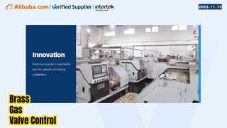 Tubomart 황동 가스 밸브 /파이프/피팅 공장